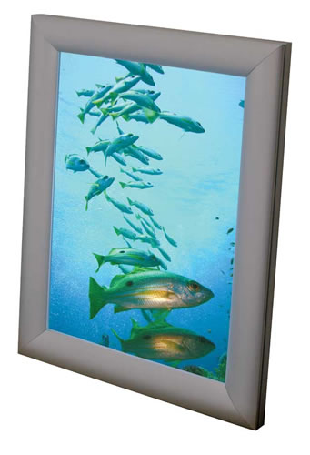 beleuchteter Diarahmen Reflecta Deluxe (Flachleuchtkaesten)