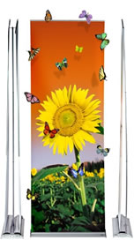 Details zu Roll Up "Pro" inkl. Bannerdruck
