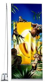 Details zu Rollup "Promotion" inkl. Bannerdruck